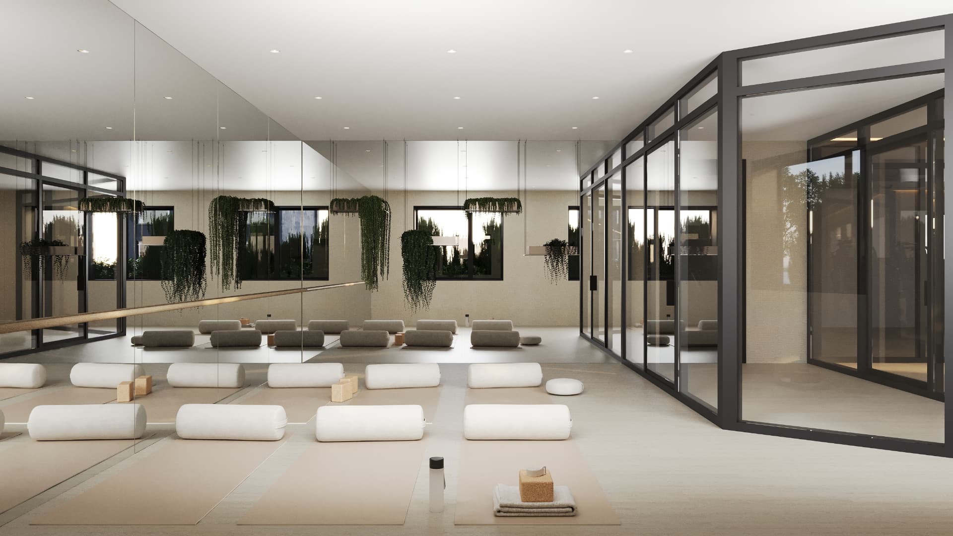 Yoga studio with mirrored wall, hanging greenery and bolsters